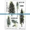Katzelkraft - WINTER WONDERLAND - A5 STAMPS -Cats On Appletrees Shop 2802