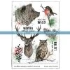 Katzelkraft - INTO THE WILD - A5 STAMPS -Cats On Appletrees Shop 2811