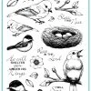 Gina K Designs - STAMPS- Beautiful Birds