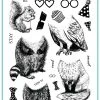 Gina K Designs - Forest Friend Additions -Cats On Appletrees Shop forest friends additions stamp for web 01