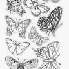 Hero Arts - Beautiful Butterflies Clear Stamp Set 2 Hero Arts - Beautiful Butterflies Clear Stamp Set -Cats On Appletrees Shop screenshot2023 03 14165045