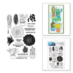 Spellbinders - Succulents Ranger Clear Stamp