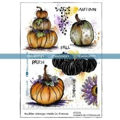 Katzelkraft - PUMPKIN FIELDS - A5 STAMPS